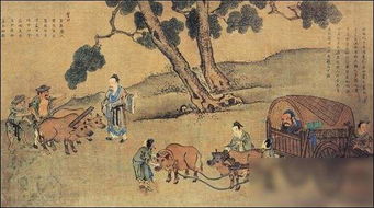 曾老师讲故事：小学语文学习（5）之直接引语与间接引语互换技巧