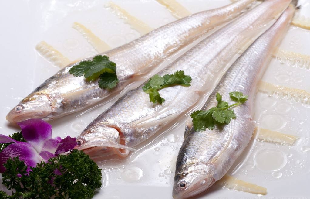中国最昂贵十大名鱼,中国最昂贵十大名鱼观赏鱼