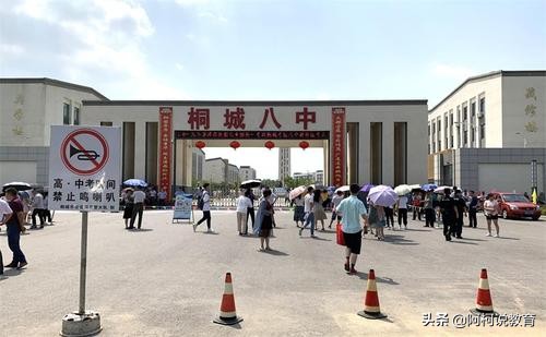 安徽桐城新八中、天成中学高考喜报