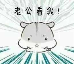 仓鼠哄老公表情包｜给老公画个爱心