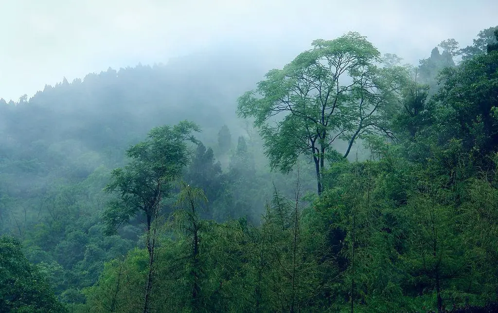 骊山在哪里？系秦岭山脉一个支峰
