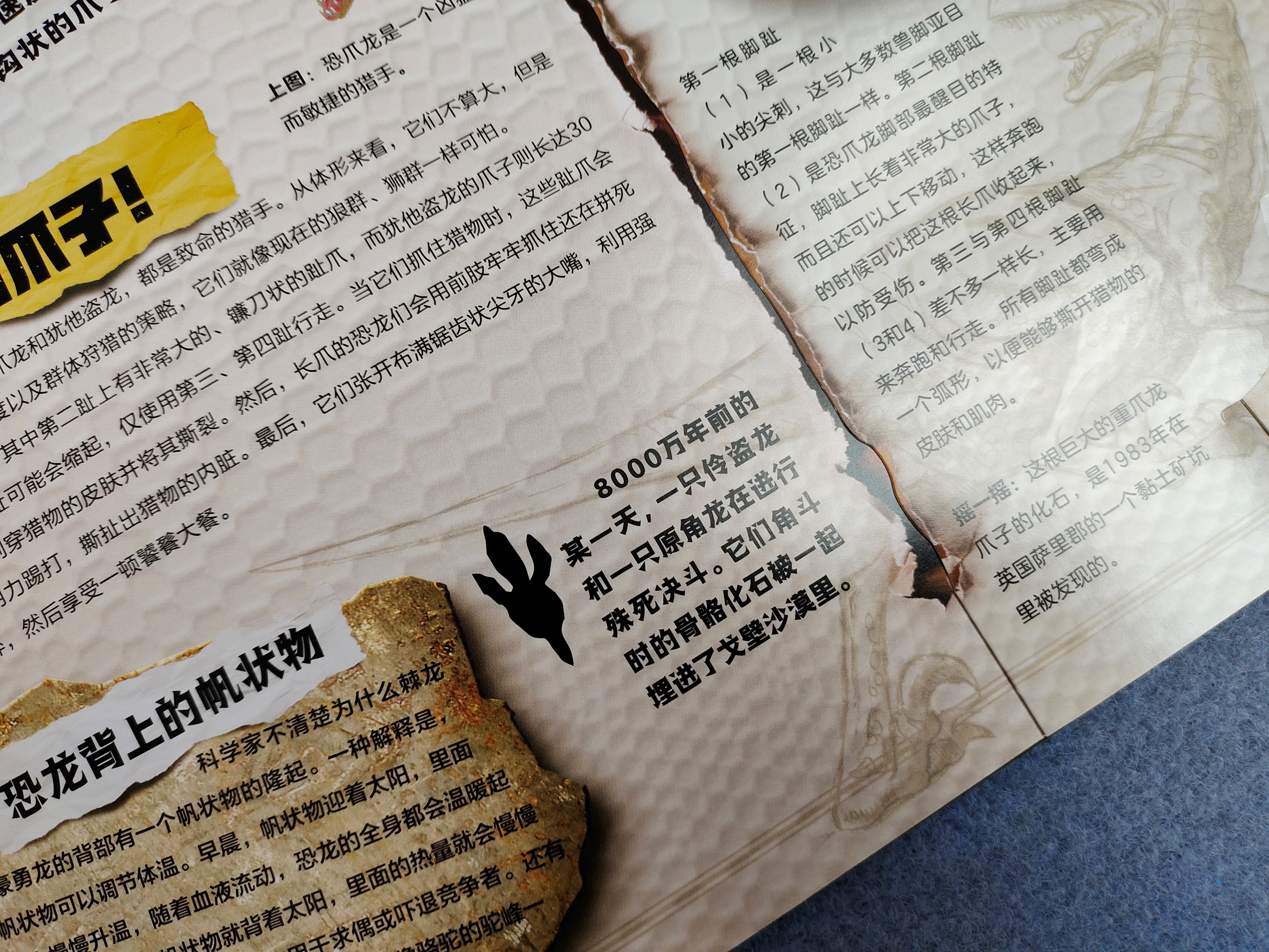 《中国恐龙博物馆》：如果孩子喜欢恐龙，别错过这本中国恐龙图鉴