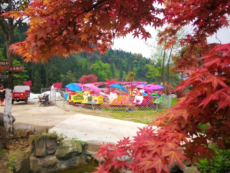 红叶最美观赏期来啦~玩转红枫岭!德阳出发1小时飚拢!