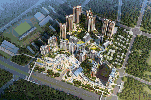 2020年深圳积分入户申请开始了！10000名指标抓紧