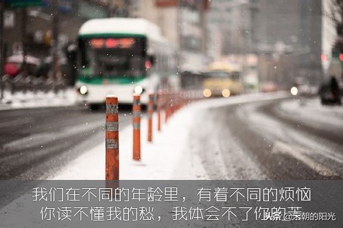 精选，那些值得细细回味的句子：世间所有不尽人意之事，全靠硬扛