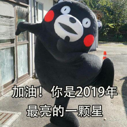 2019元旦快乐搞笑表情包：祝你新的一年，不劳而获，一夜暴富