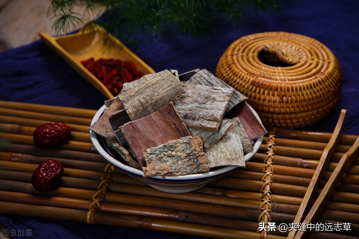 阴阳两虚，脾肾不足？一剂还少丹，阴阳双补，补脾益肾，交通心肾