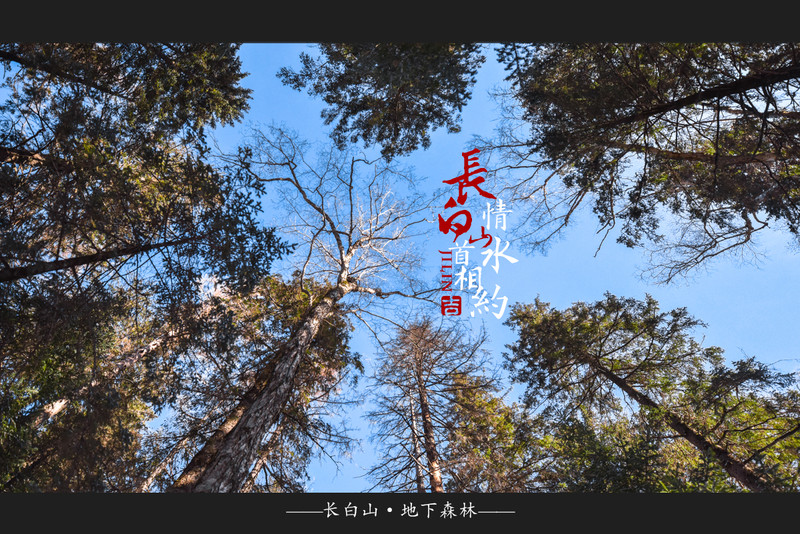 冰雪总动员，玩转长白山：一山一水，体验“世界级”冰火两重天