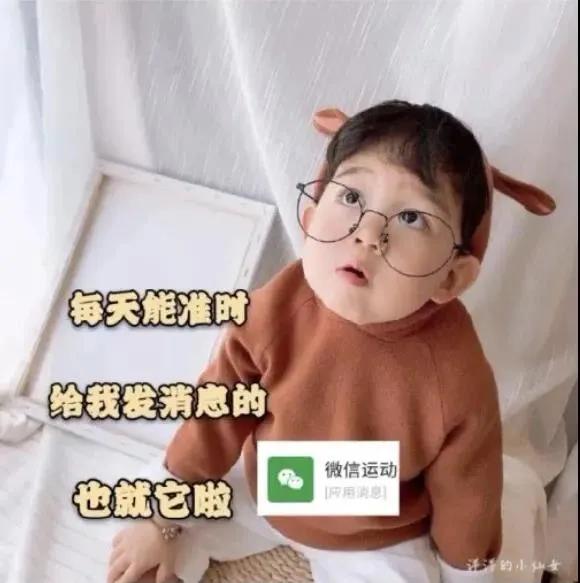 表情包：每天能准时给我发消息的也就他了