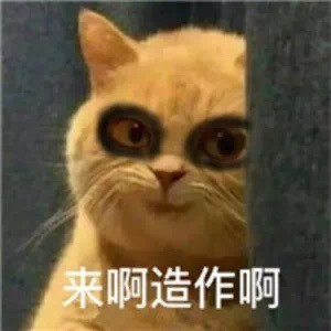 吸猫熬夜修仙表情包 ​：我就是要跟你作对