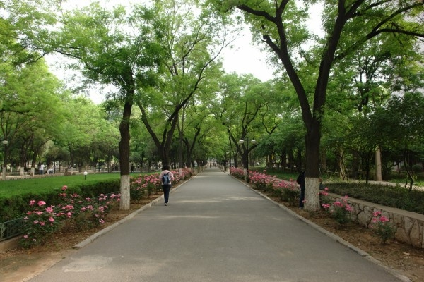 今年山东大学校录取线（2021山东大学录取结果出炉）