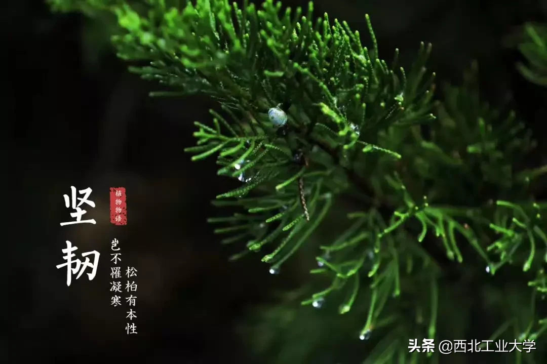 权威发布丨最新情况通报