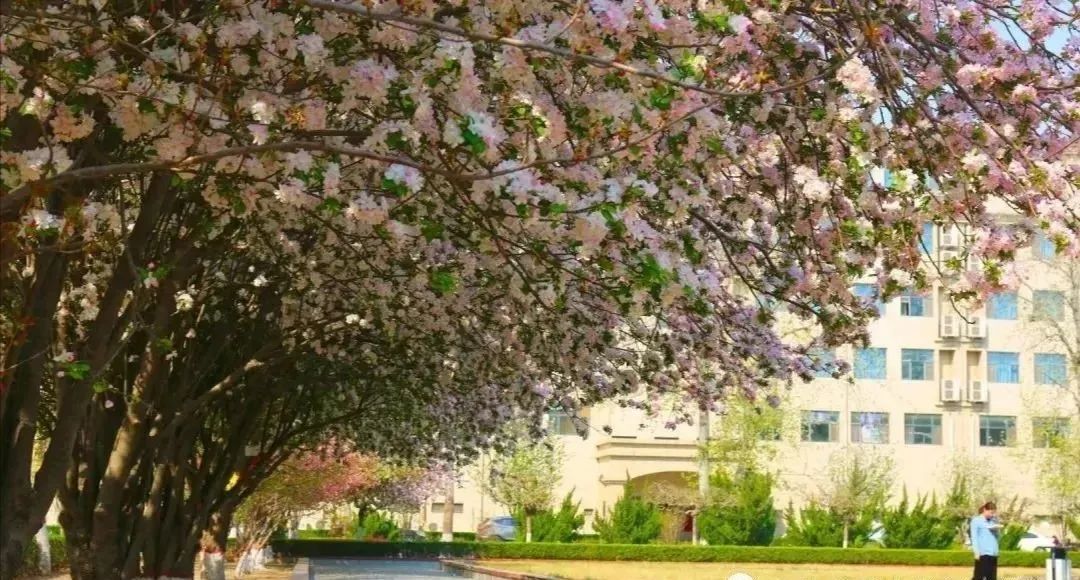 接本院校｜河北师范大学汇华学院：实力与颜值并存