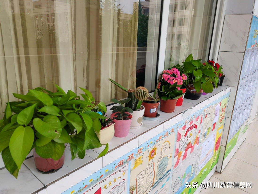 遂宁高级实验学校外国语学校小学部举行“最美教室”评比活动
