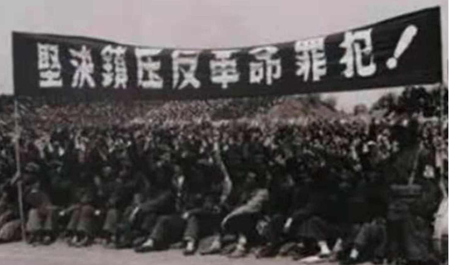 1951年四川枪决女特务，西南工委副书记写信救人，这特务什么身份