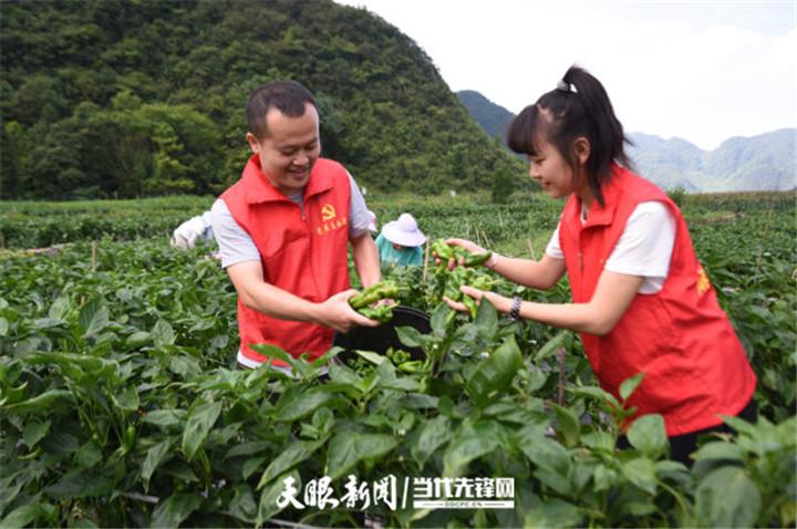 雷山县七一篮球比赛哪里可以看(锦绣黔东南 砥砺奋进时丨贯彻落实习近平总书记“七一”重要讲话精神在基层)