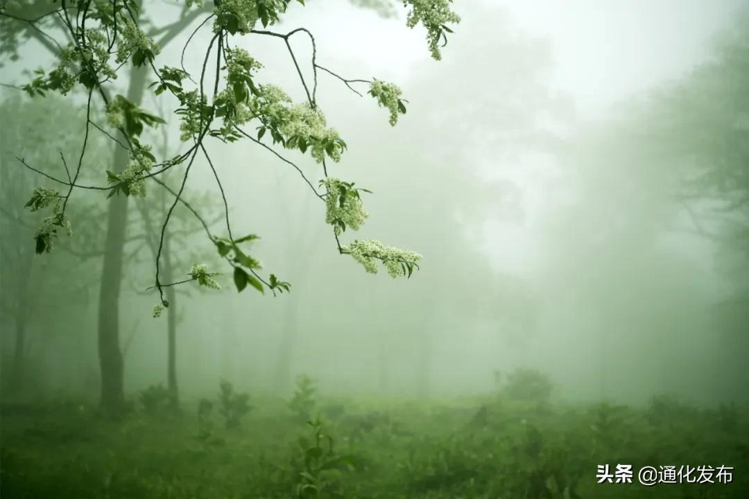 辉南县属于哪个省哪个市（让我们一起相约通化之辉南县）