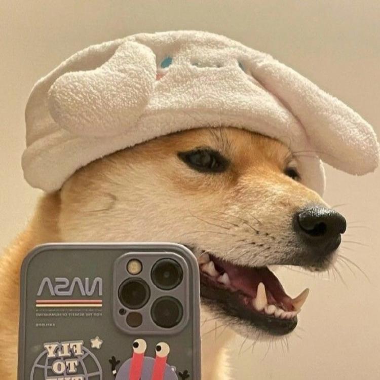 蠢萌的柴犬头像～ 小可爱们请注意接收～ 别忘了点赞噢