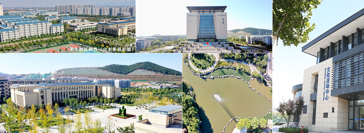 山东财经大学2021年各专业录取分数线！仅供2022年考生参考