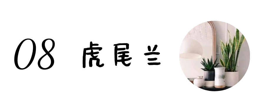 朋友搬家送什么礼物好 乔迁新居送什么（朋友搬家送什么礼物好实用）