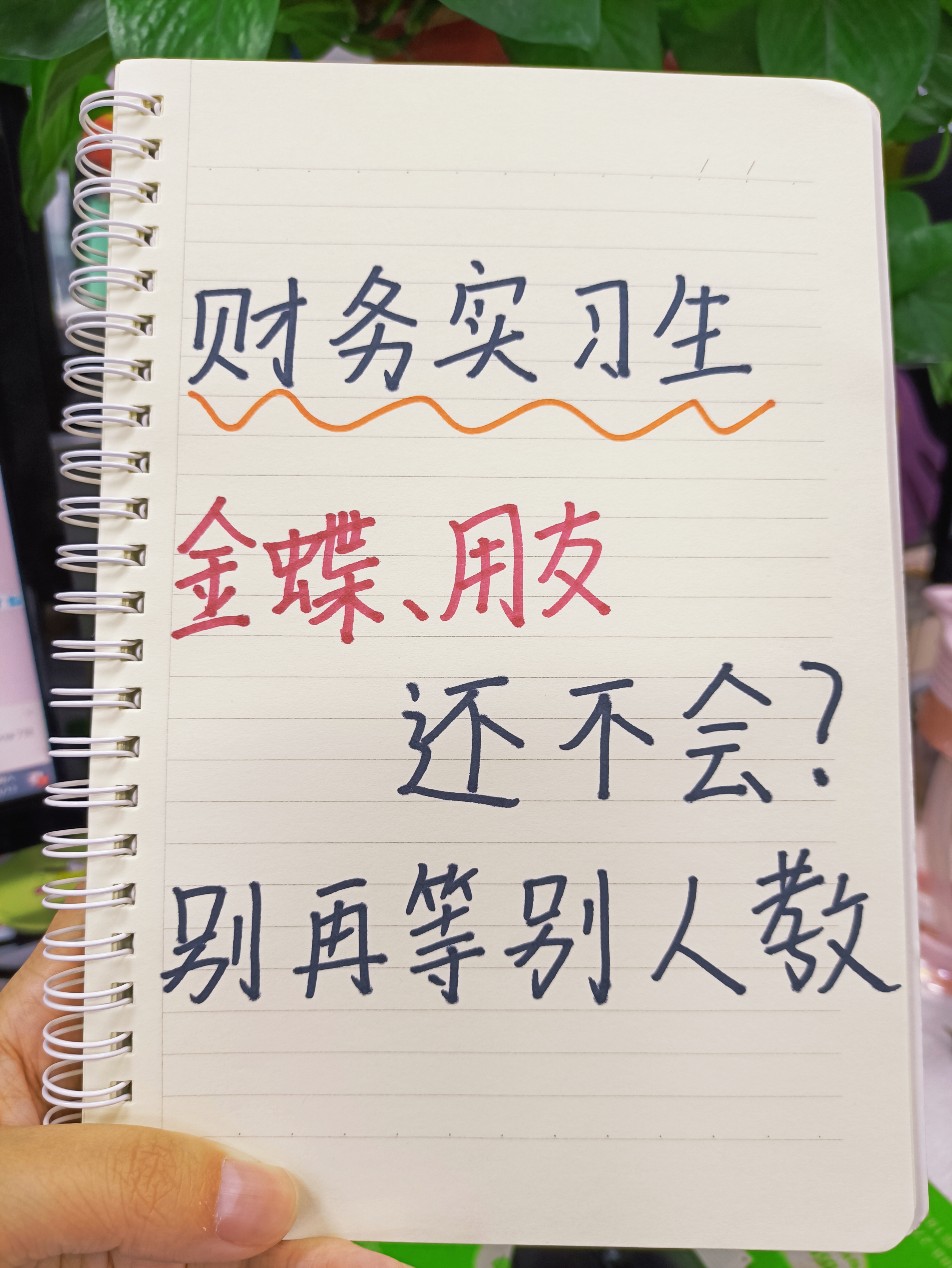 会计实习内容及过程（财务实习生连金蝶）