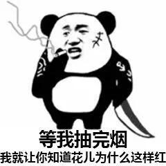 熊猫头表情包｜如果吃鱼可以补脑，那你这智商至少要吃一条鲸鱼