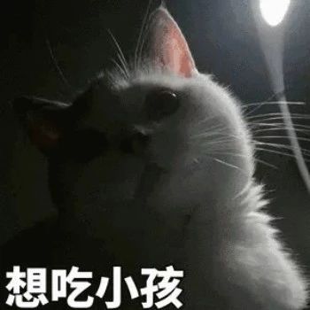 性感猫咪，在线陪聊