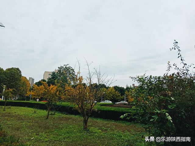 五院四系法最末！被叹惜的政法长安校区，有着超美的秋色与一日游