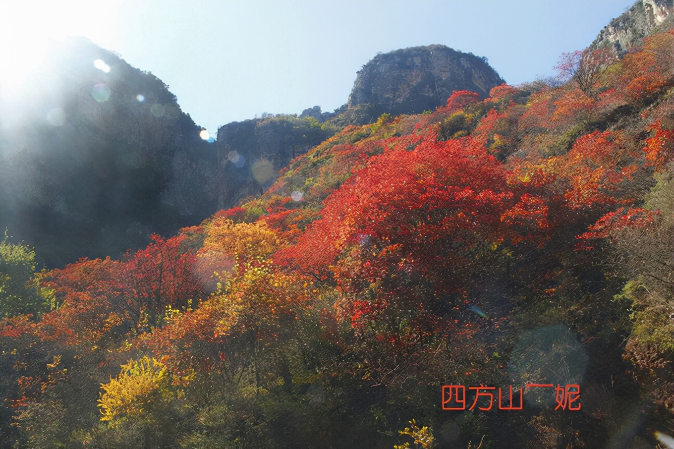 山西枫叶红了，都说这10个地方最好看，你怎么看？