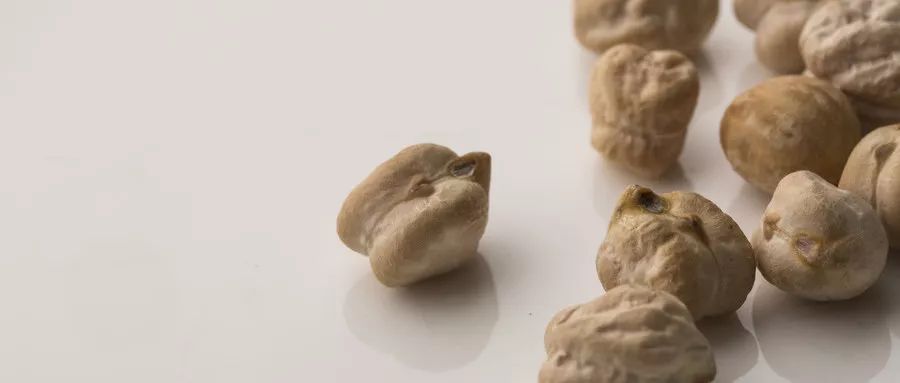 网红都在吃的鹰嘴豆美味吃法大揭秘
