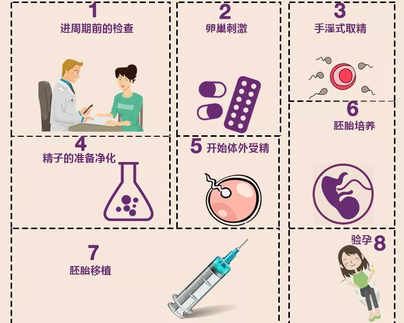 【试管小白】什么是试管婴儿？流程，风险，成功率等！