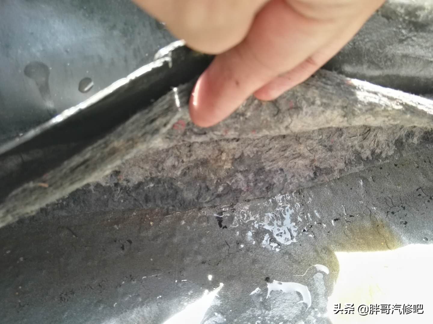 捷达暖风水箱爆裂，车里面能养“海豚”，顺便看看什么是黑心棉