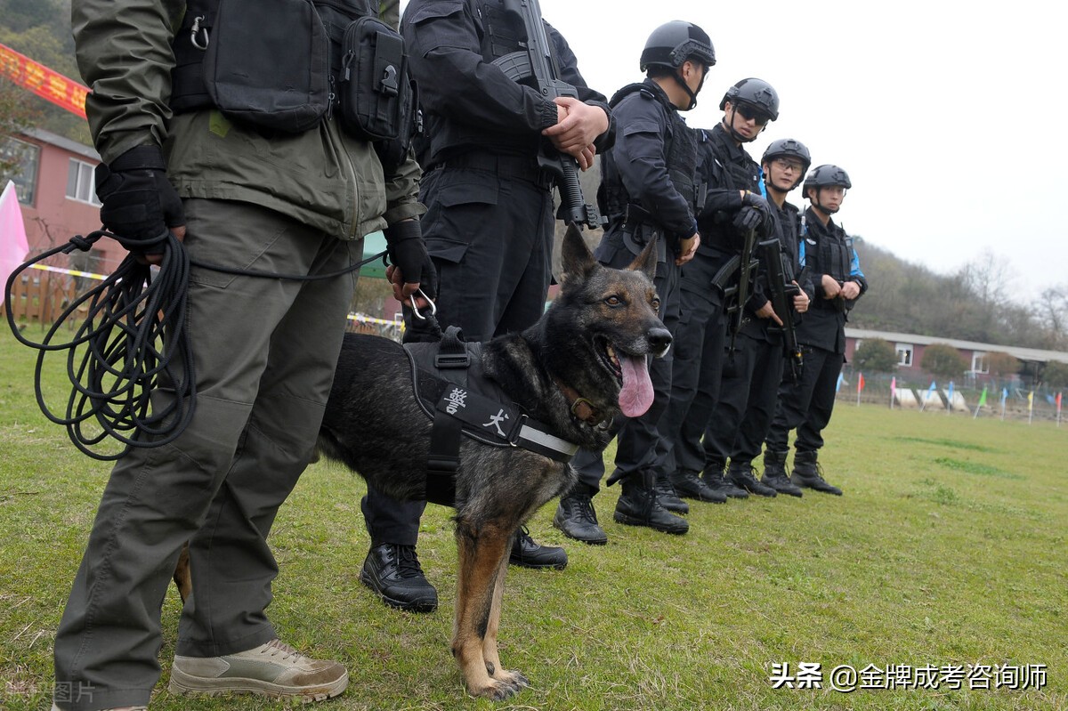可以参加公安部联考的4所警校，入警率很高，而且地域优势很大