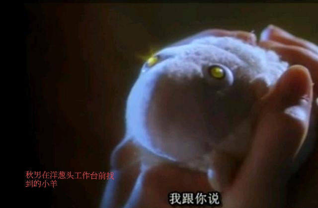 勇敢去爱，人生不留遗憾