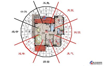 风水植物少不了，各种运气都来到