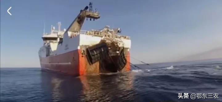 渔民在大海捕捞，下一次海能捞100多吨鱼虾上船立即冰冻，真赚钱