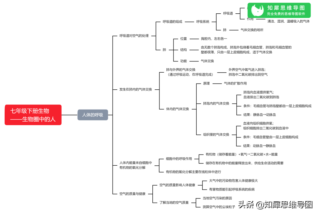 七年级生物上册思维导图整理，初一生物考点汇总