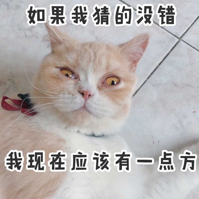 表情包：这个时候，溜就对了