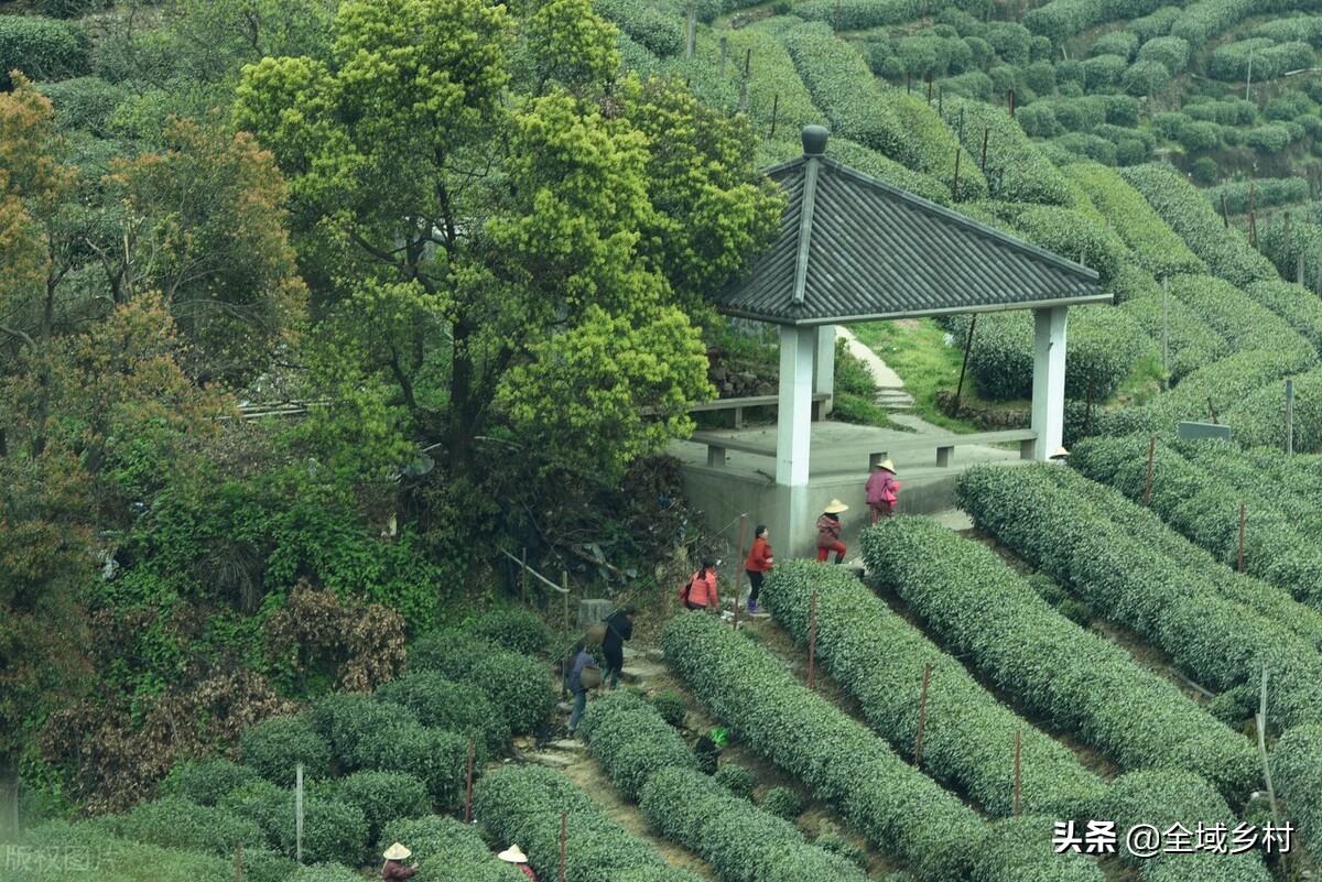 人美不过西施，水美不过西湖，西湖有多少个十景供游人欣赏