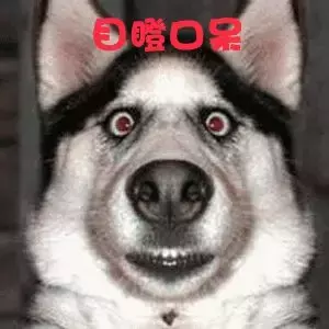 中国有嘻哈，文体两开花：你要的freestyle，都在返乡列车上