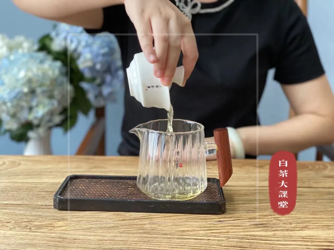 绿茶是什么茶（五个角度手把手教你读懂绿茶）