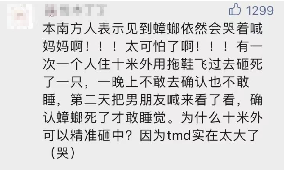 广州一大厦“两眼发光”似蟑螂，北方网友吓坏:南方蟑螂这么大?