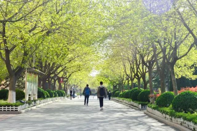 高清曝光！坐拥神仙颜值，山东最美“校花”就在这所大学里！