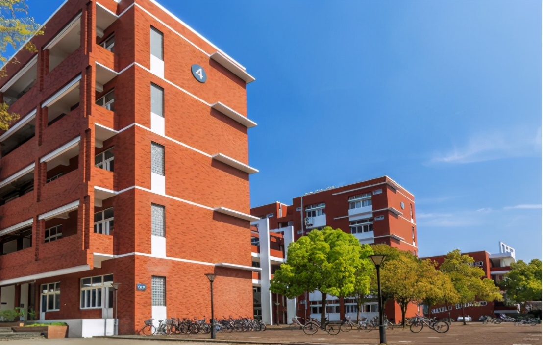 985高校中，5所高校“就业率”退步明显，毕业生找工作有难度