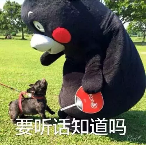 西安2019公租房房源分配计划表公布！你的公租房配租资格通过了吗