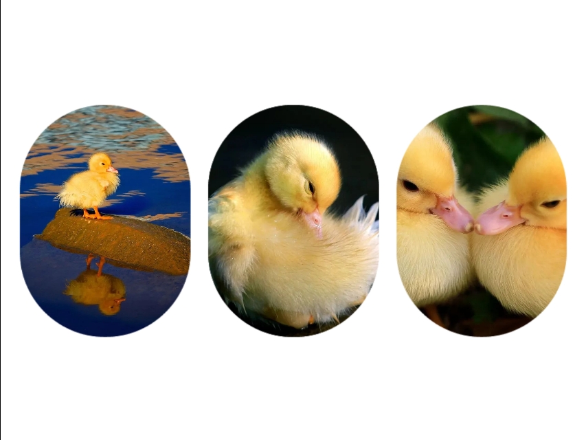 来大外！一起展望前方星辰大海！