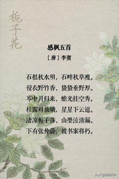 古诗词中的栀子花：在荫浓夏日之中，感受一份花之幽香！