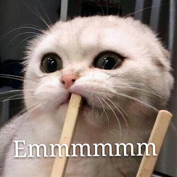 猫咪拉稀怎么办：有效的治疗方法