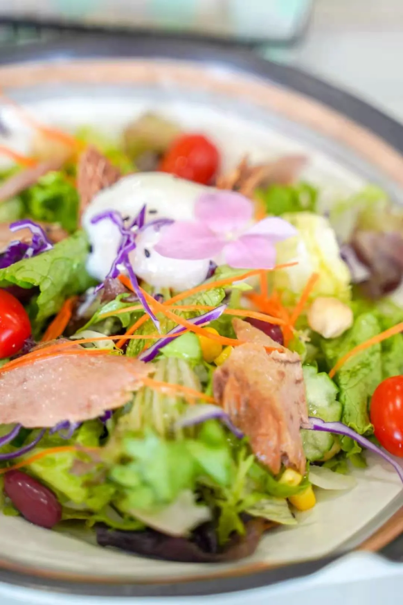 中国烹饪大师坐镇，拥有国内首创美食，沈阳这所高校火上“热搜”