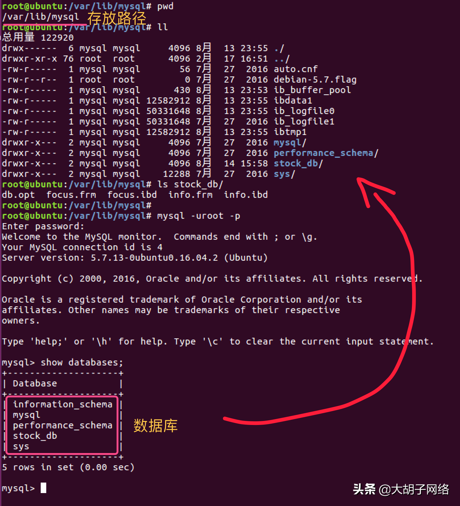 SQL Server内部运行机制浅析